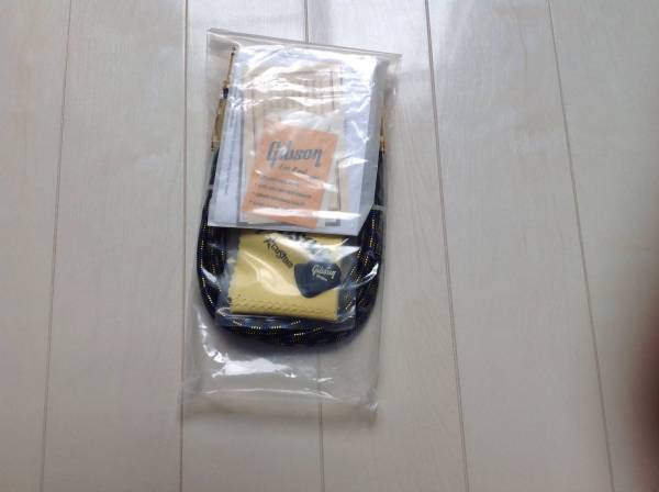 専用　同梱 Takamine DSP-110 エレアコ タカミネ ▽ 46901-1 | RACECHIP.CZ