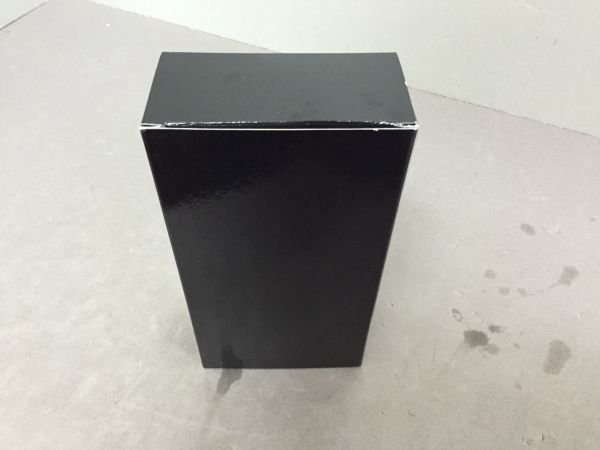 追SP848 WF 超昂閃忍ハルカ BIKINI ver ピーユニットガレキ