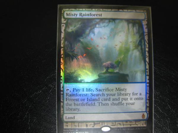 霧深い雨林/Misty Rainforest/EXP/FOIL ②
