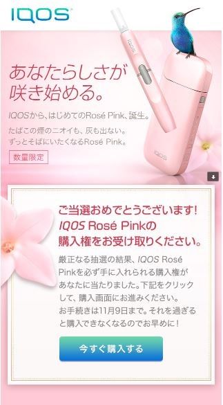 送無【iQOS roseピンク】当選品5000台限定 新品未使用 アイコス