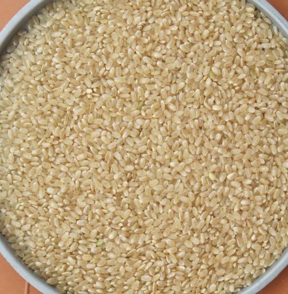 新米ヒノヒカリ・玄米30㎏ 減農薬・肥料・レンゲ・残り2袋
