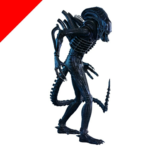 最終35%OFF/ホットトイズ(HOT TOYS)/エイリアン2/エイリアン