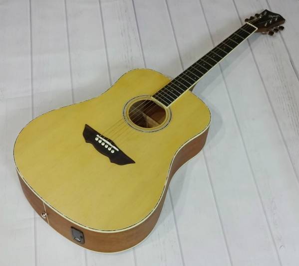 エレアコギター アコースティックギター Art & Lutherie (アート 