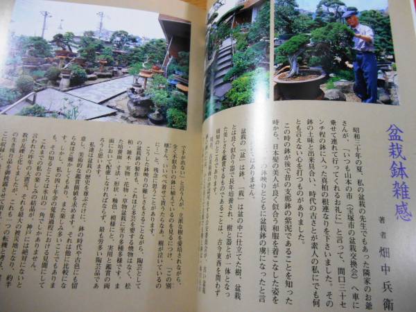 盆栽鉢 陶芸鑑賞としての楽しさ□畑中兵衛 近代出版 盆栽用具 花、園芸