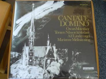 ♪カンターテ・ドミノ CANTATE DOMINO 高音質180g重量盤