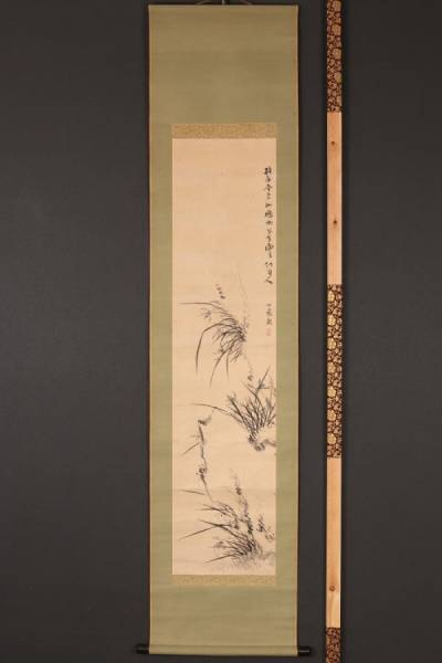 k281513619.1