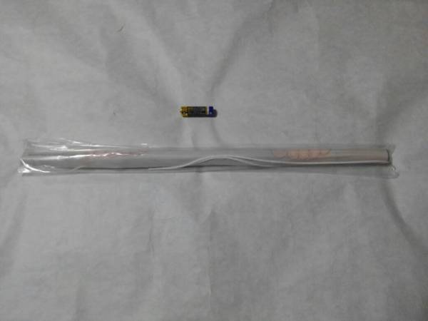 メディオ!特典 描き下ろしB2射ペストリー 綾地寧々 サノバウィッチ 