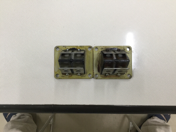 TZR50 リードバルブ RZ250 RZ250 ビックリードバルブ