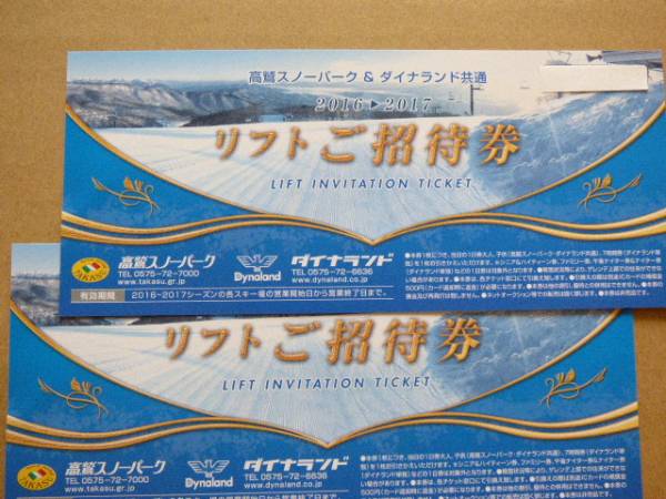 高鷲スノーパーク　ダイナランド リフト　１日券　２枚セット