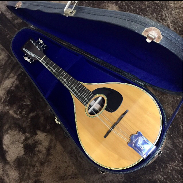 JUMBO flat mandolin Style Aハードケース付きマンドリン 【公式通販】