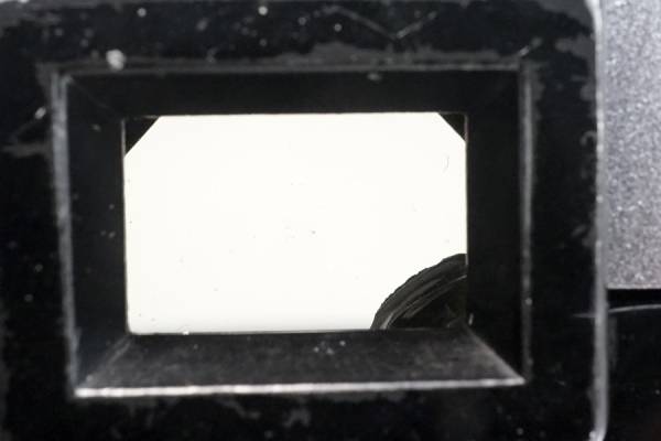 s517837656.3