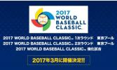 WBC【3/15】東京2次ラウンド ライト外野席8^10列 1^3枚