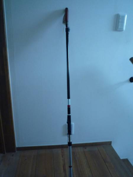 ダイワ DXR メタルチューン 尾長 2.5号-50　※中古※