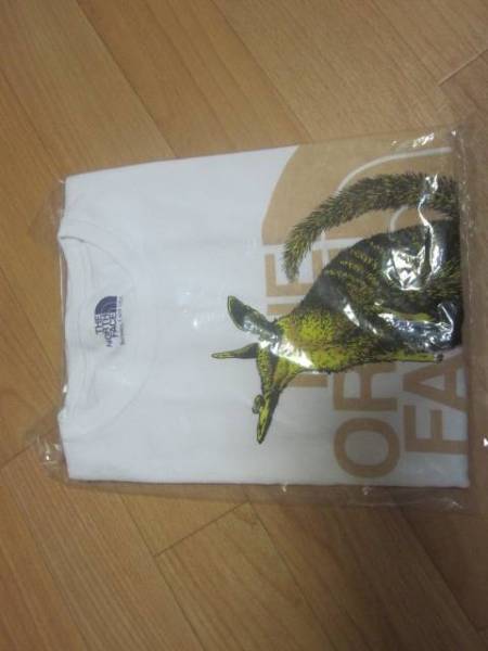 NORTH FACE PURPLE LABEL NT3618N H/s Graphic Tee W-M Chrysalis パープルレーベル nanamica ナナミカ　②