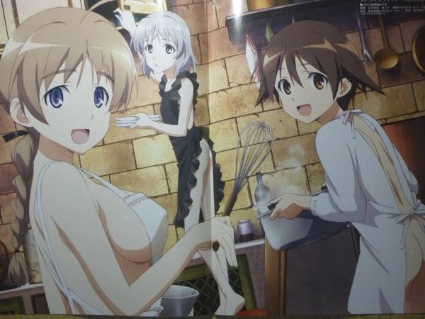 ストライクウィッチーズ ピンナップポスター リーネ 宮藤芳佳 サーニャ コミック アニメグッズ 売買されたオークション情報 Yahooの商品情報をアーカイブ公開 オークファン Aucfan Com