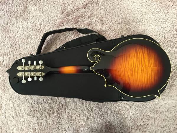 The Loar LM-520 VS フラットマンドリン