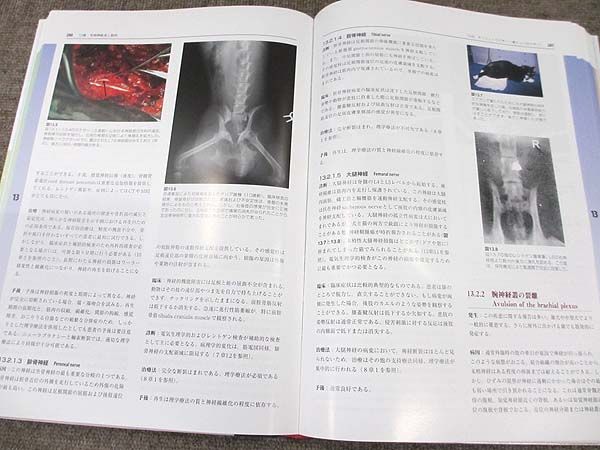 s534961634.3