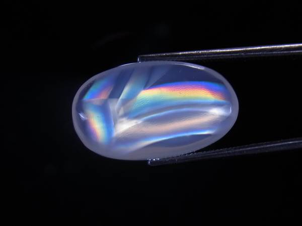 d225703701.4