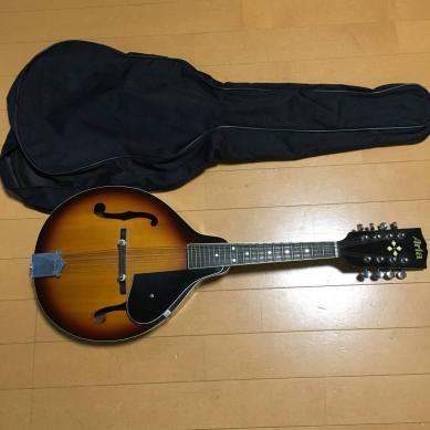 ARIA アリア AM-20 フラットマンドリン 本体 ハードケース付き 楽天