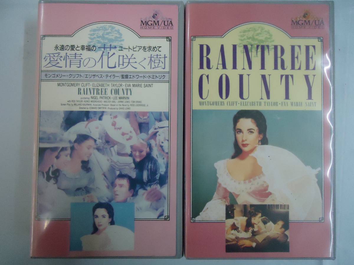 中古】Raintree County / [DVD] 鳥 の 絵 イラスト シュキ