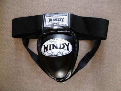HOT，定番 WINDYファールカップ サポータータイプ Mサイズ 黒(その他)｜売買されたオークション情報、yahooの商品情報をアーカイブ公開 - オークファン その他