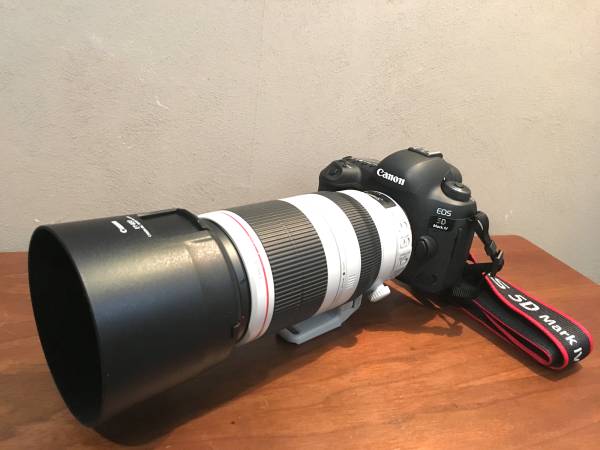 Canon 【5日間レンタル】Canon EOS 5D Mark Ⅲ 3(EF24-105mm F4L