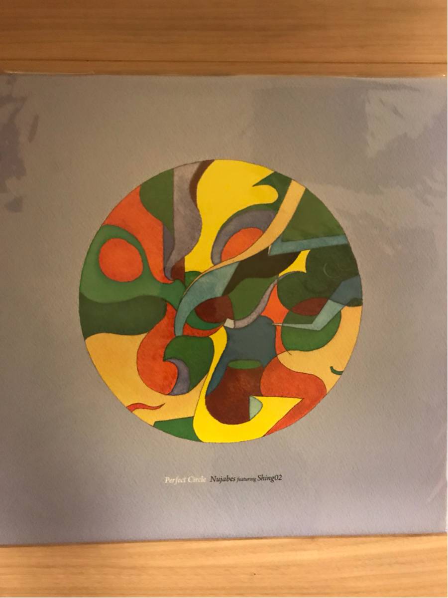 レコード DL THE ALBUM ADMONITIONS 2枚組 アナログ盤