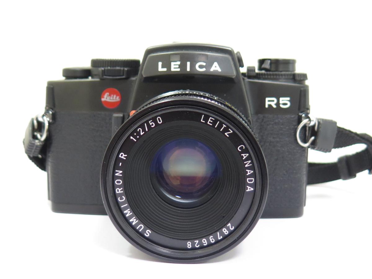 l359445656.2