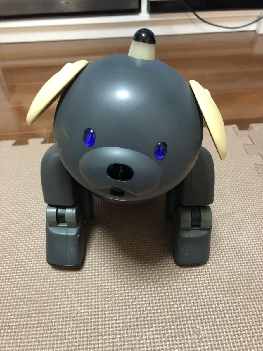 ソニー/SONY aibo/アイボ ers-312 マカロン 黒/ブラック 箱付き