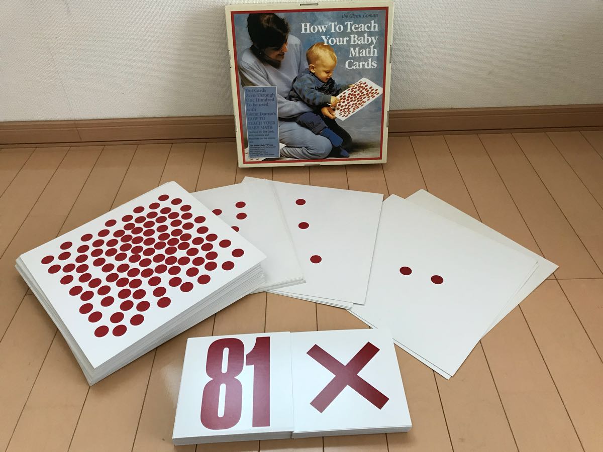 家庭保育園 たのしい絵カード ドッツカード 脳活性化訓練カード セット
