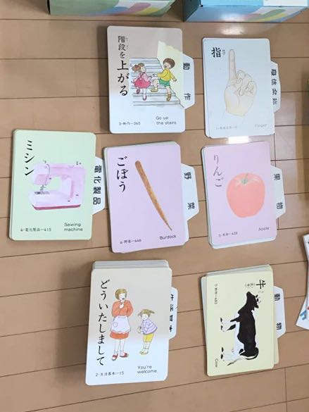 美品 家庭保育園 たのしい絵カード・ドッツカード・指導プログラム等 家庭保育園 たのしい絵カード ドッツカード 脳活性化訓練カード セット
