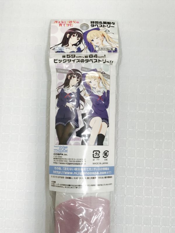 冴えない彼女の育てかたタペストリー 加藤恵 澤村・スペンサー・英梨々