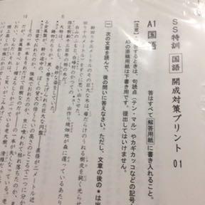 2025，得価 SAPIX サピックス 小学6年 国語 開成対策プリント セット