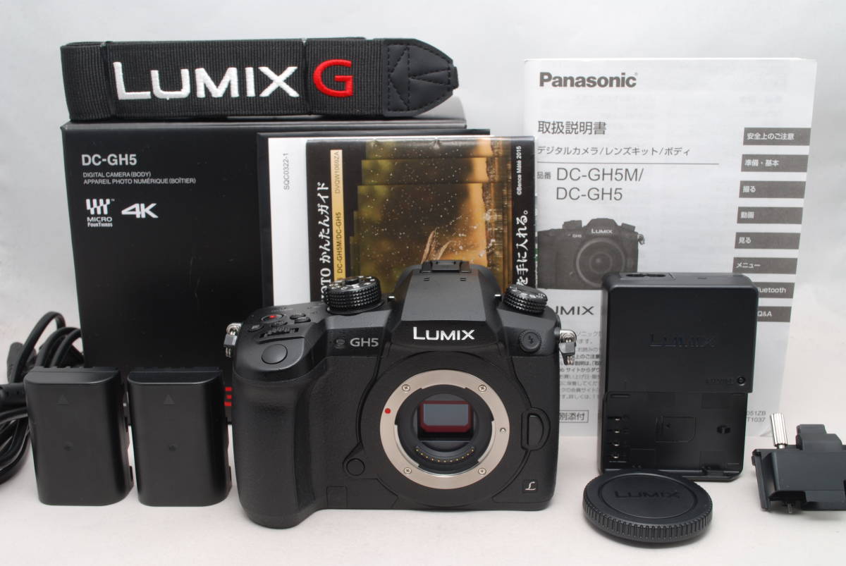 LUMIX GH5 ボディ 美品 バッテリー2個・ケージ付 動作確認済み 極上美品☆Panasonic パナソニック DC-GH5 ボディ☆元箱・バッテリー2