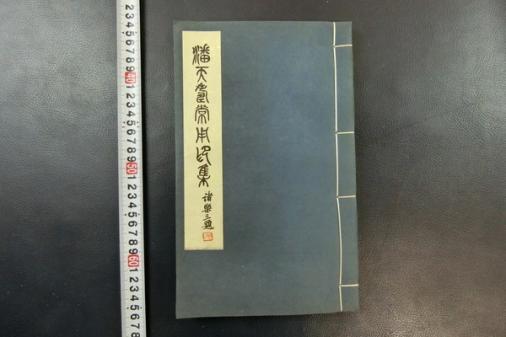 CD030「潘天寿常用印集」1冊 浙江美術学院 1977年手拓 印譜 印存 唐本