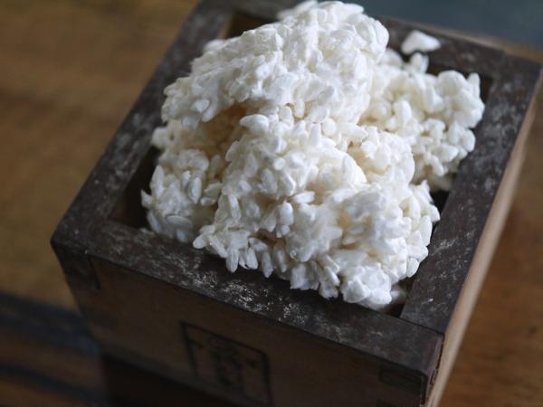 米麹 生麹（5kg×2個） 甘酒麹 生麹（5kg×2個）