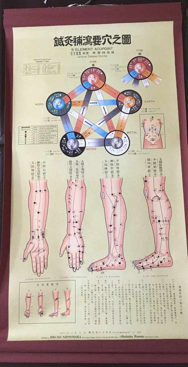 鍼灸補瀉要穴図 鍼灸経絡経穴図鑑 掛け軸 ポスター セット本間祥白