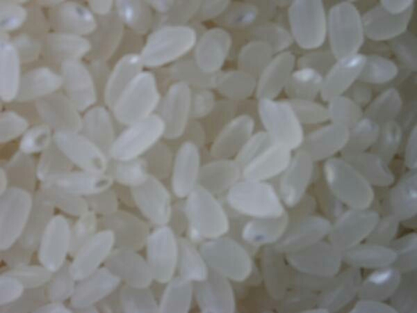 29年産 ヒノヒカリ白米20kg 自家用【送料無料】 白米 ヒノヒカリ