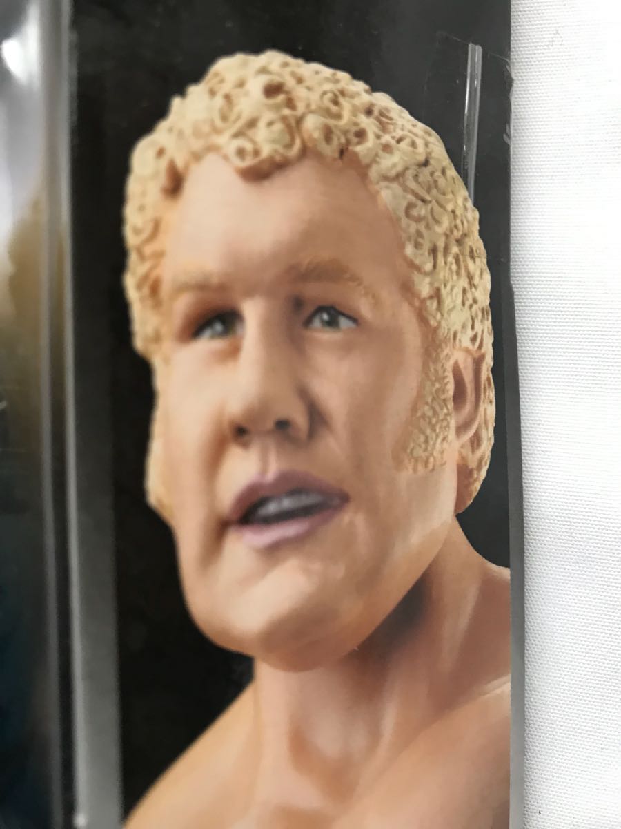 ☆ハーリー・レイスWWE プロレス フィギュアクラッシックスーパー