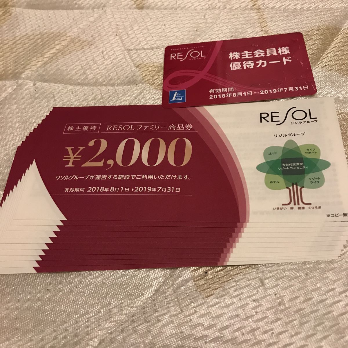 リソル 株主優待券 20000円分 リソルホールディングス 送料無料 有効