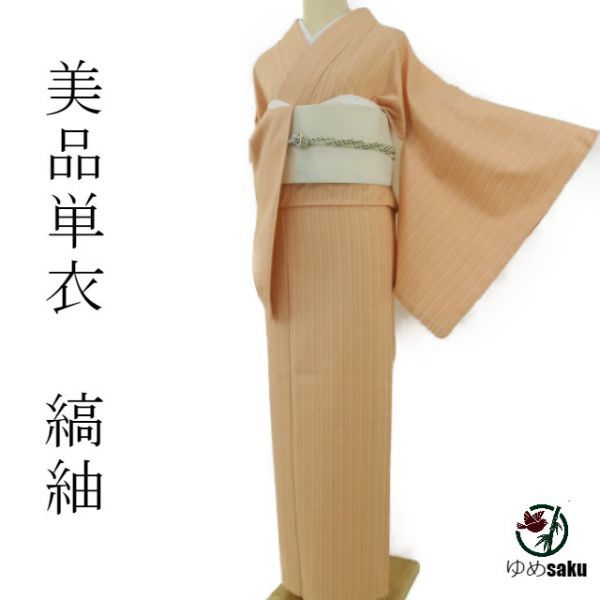 着物 ゆめsaku美品 刺繍“色を引いても美しい友と舞台に立つ 菊 正絹