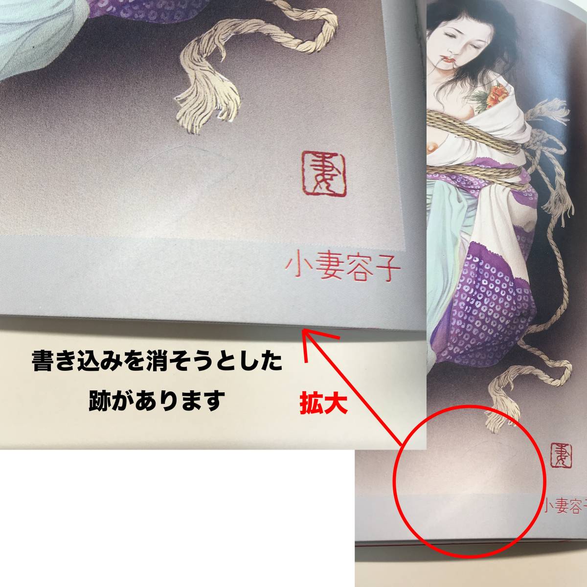小妻容子作品集 「 刺艶恋縄 」 小妻容子作品集 刺艶恋縄 刺青と修羅縄