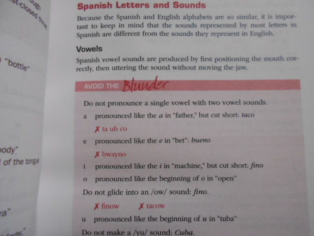 Correct your Spanish Blunders How to Avoid 99% of the Common Mistakes ...