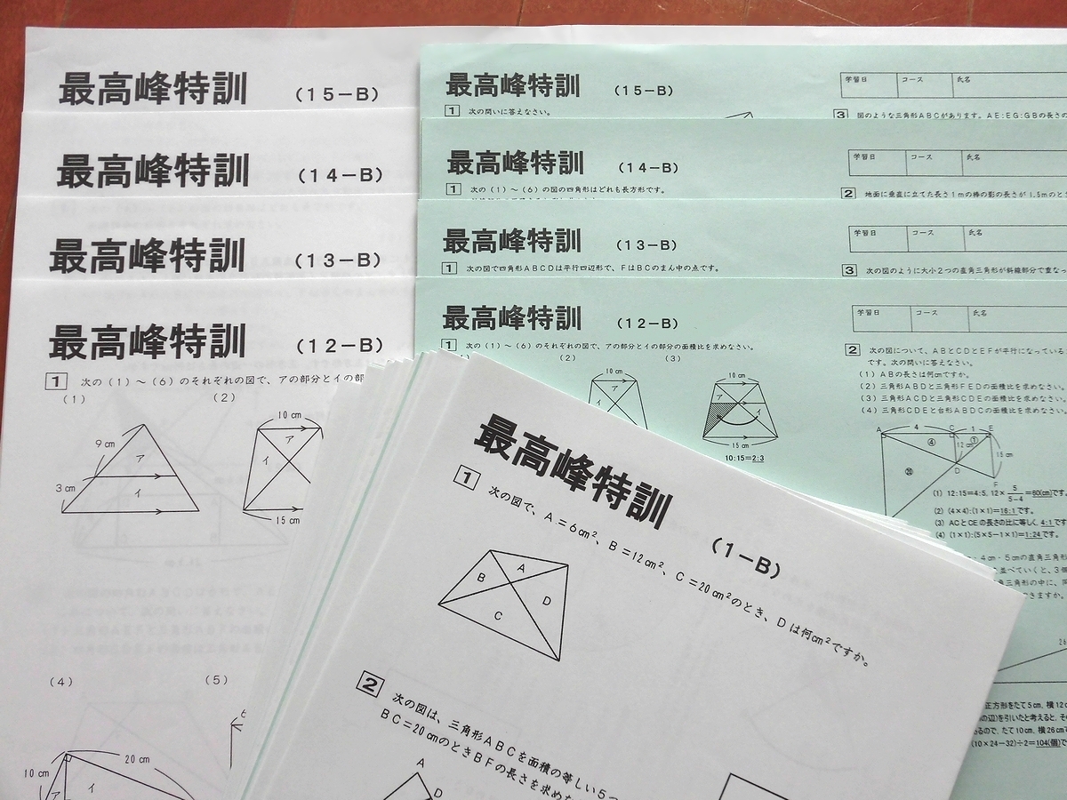 サピックス　小6算数　最高峰特訓 A(1〜18)B(1〜18　17回未使用)原本 サピックス 小6算数 最高峰特訓 A(1〜18)B(1〜18 17回未使用)原本