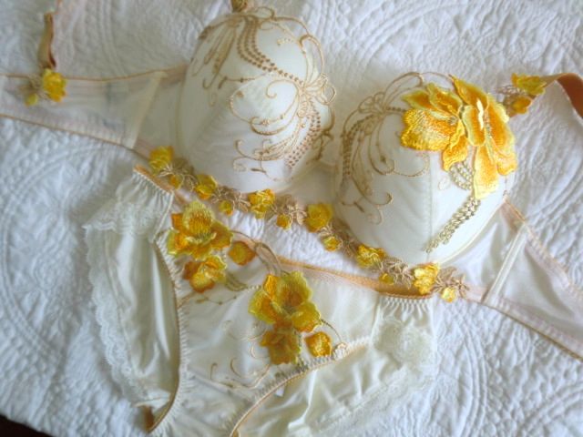 【定番人気，大得価】 サルート 宵待草 E70＆ノーマルM OV タグ ワコール(70)｜売買されたオークション情報、yahooの商品情報をアーカイブ公開 - オークファン ブラジャー、ショーツ