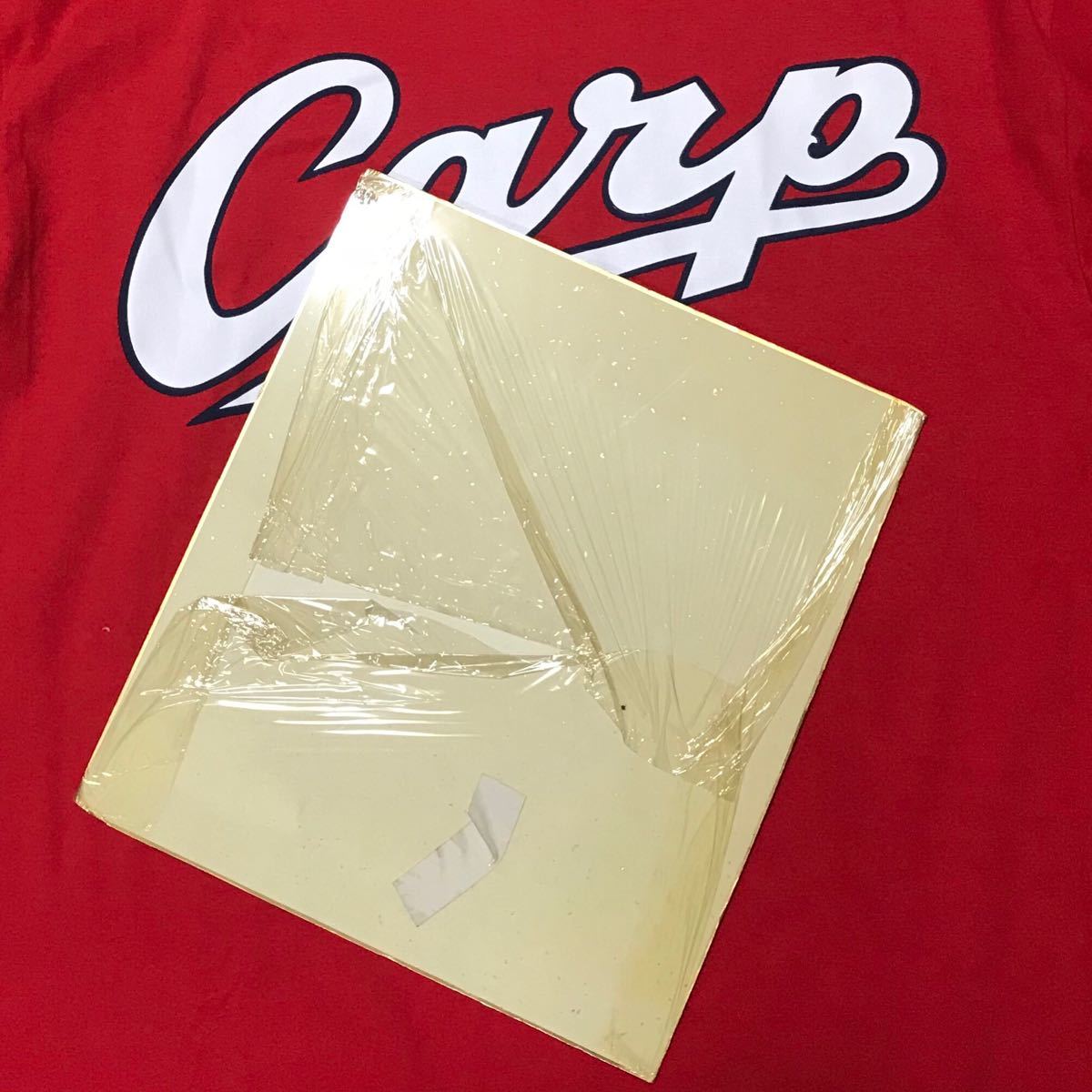 広島東洋カープ CARP 背番号14 津田恒実 直筆サイン色紙 シマヤだしの素