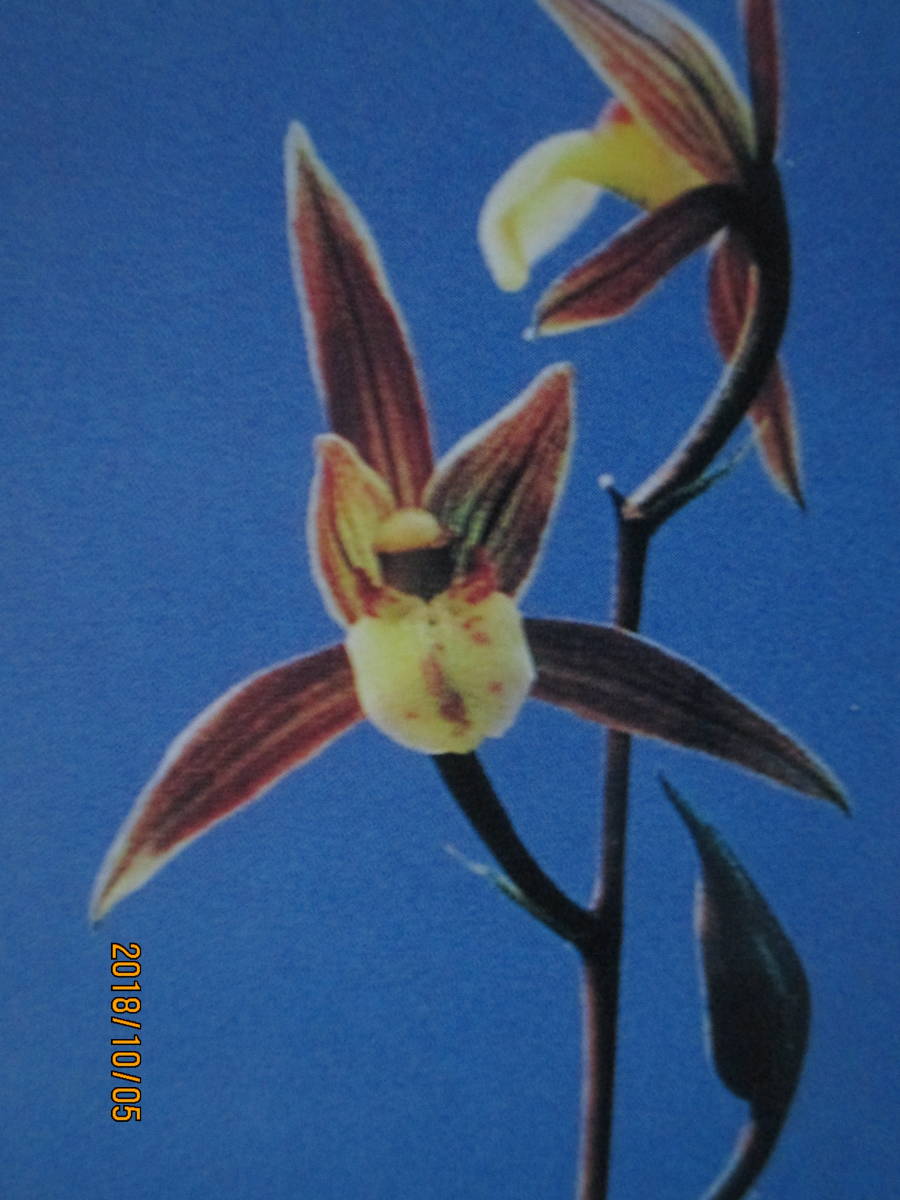 h310664209