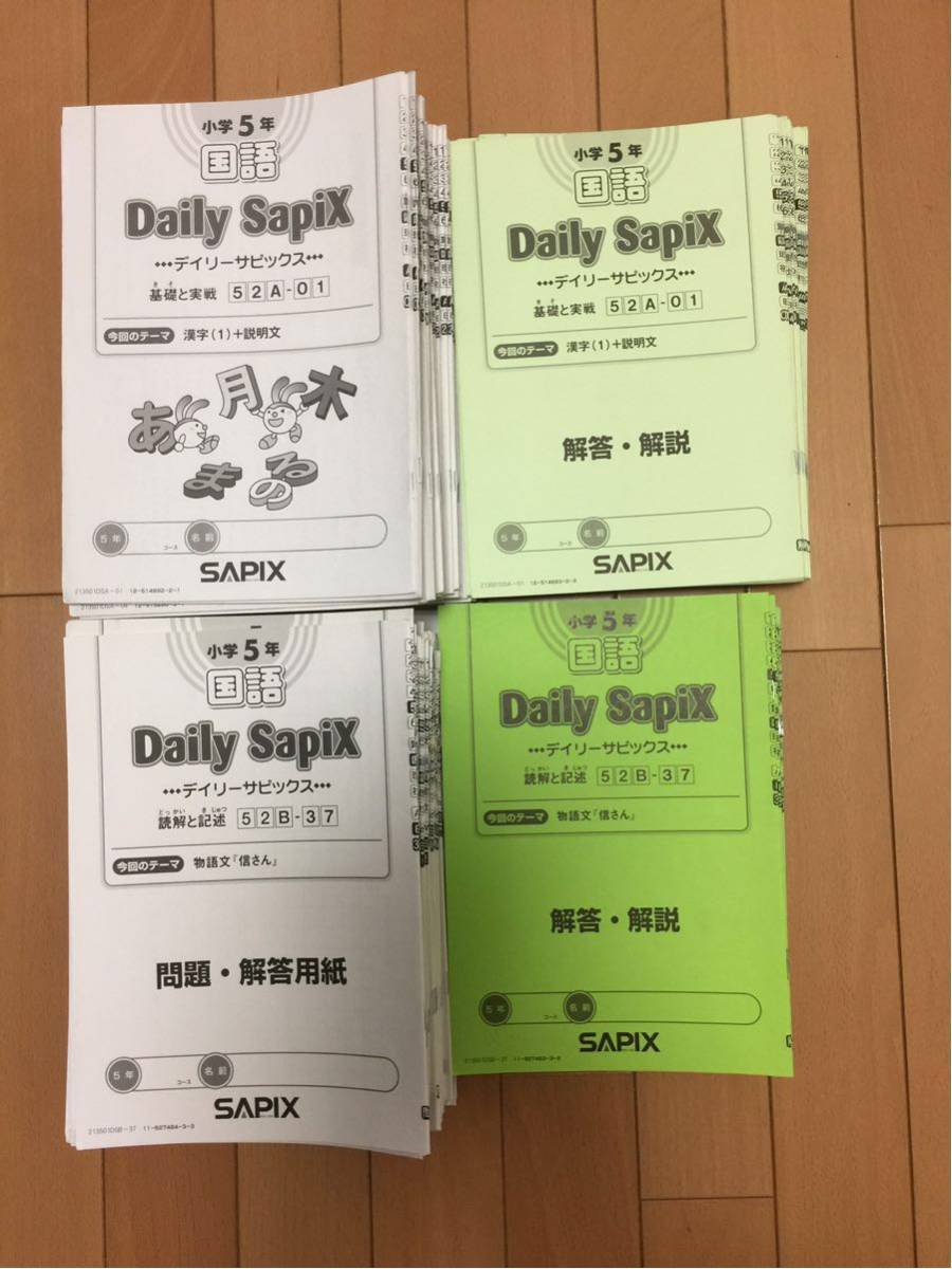 サピックス小学5年生　国語　1年分 SAPIX サピックス 国語 1年分 小学5年 &春期&夏期&冬期