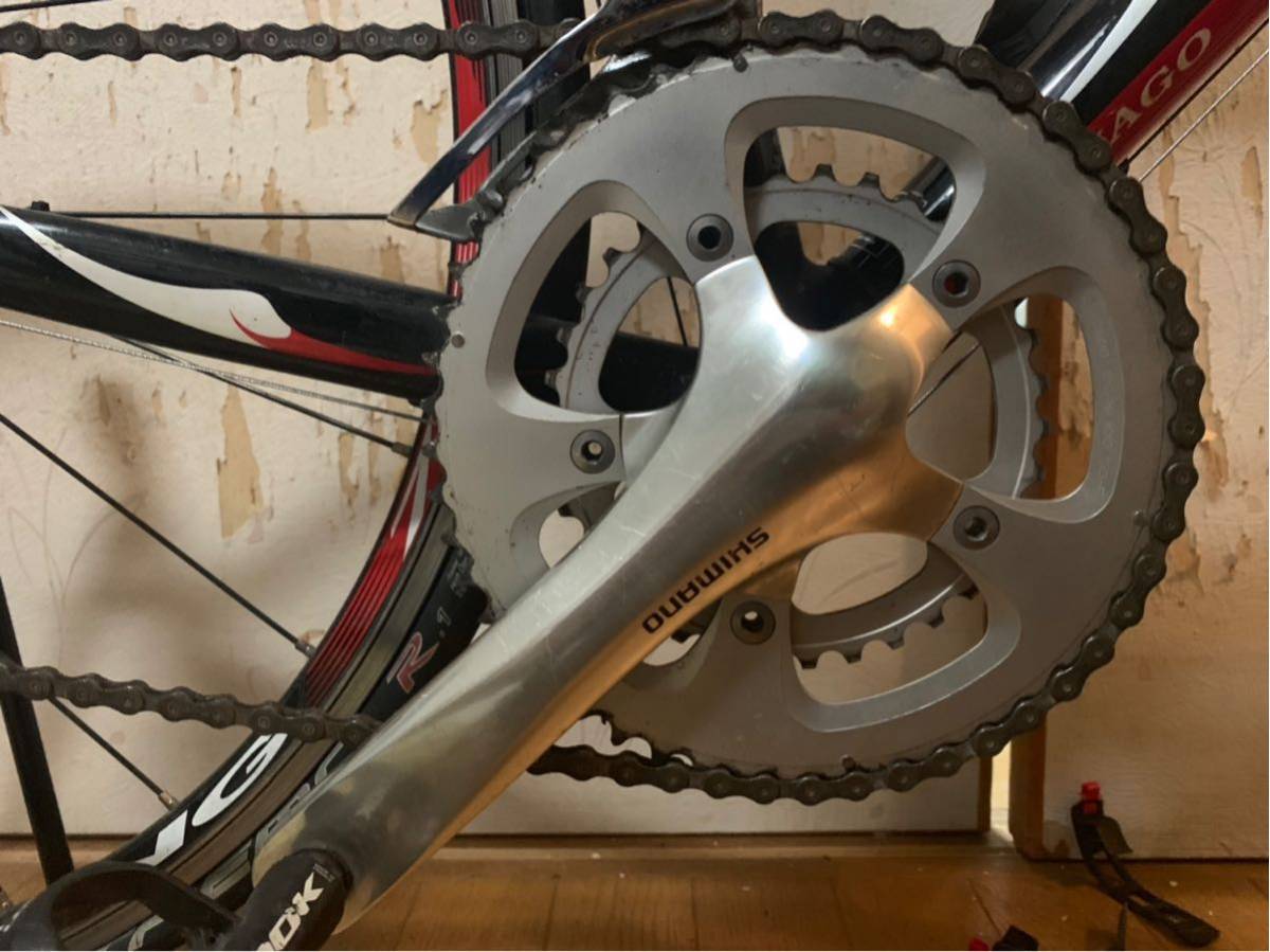COLNAGO Primavera ロードバイク コルナゴ 【公式通販】