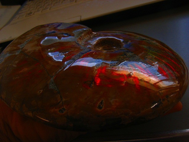 絶品数万個の中の一個☆天然マダガスカル産 ☆絶品数万個の中の一個